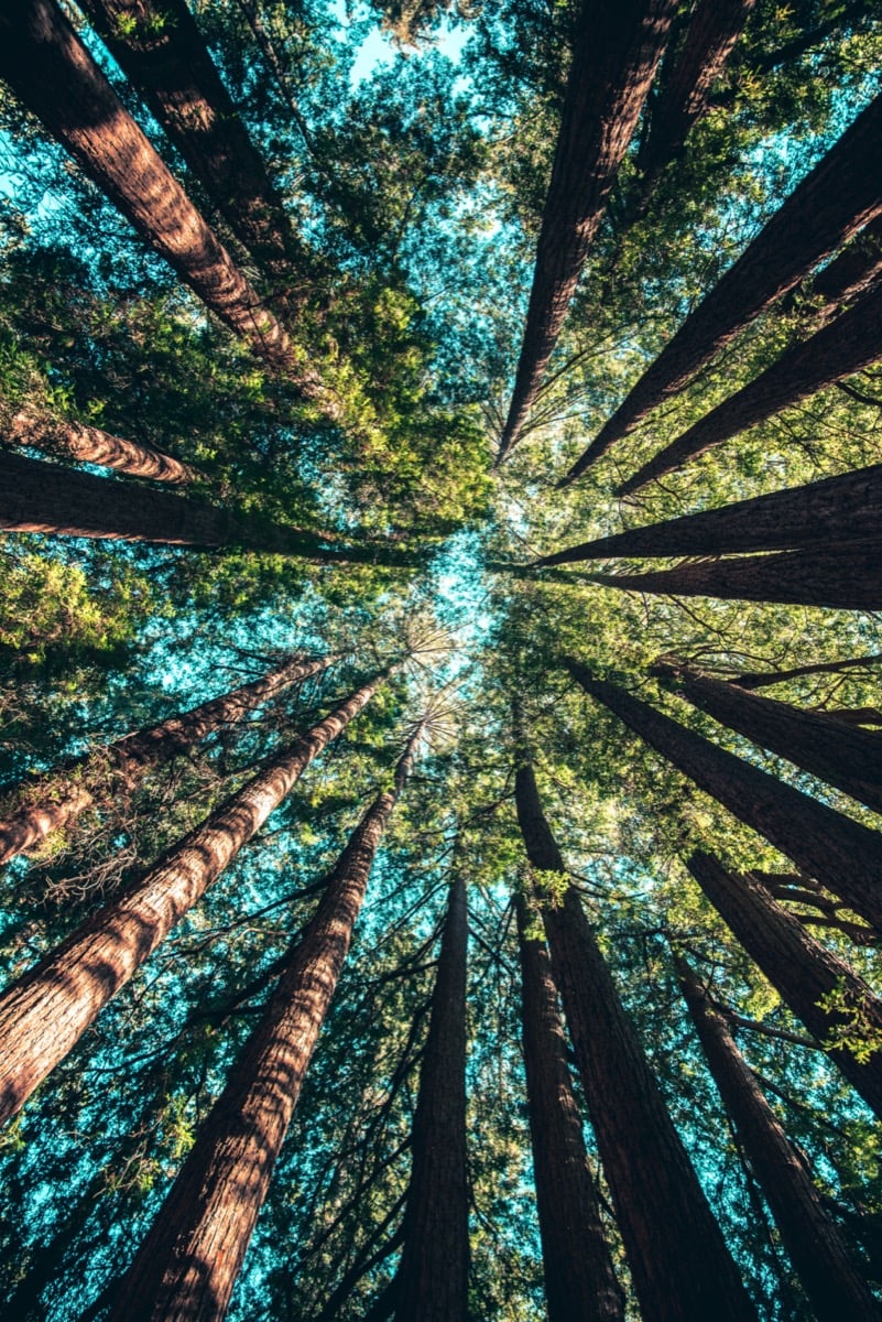 Heb jij vandaag je “nature pill” al genomen?